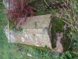 image of grave number 527561